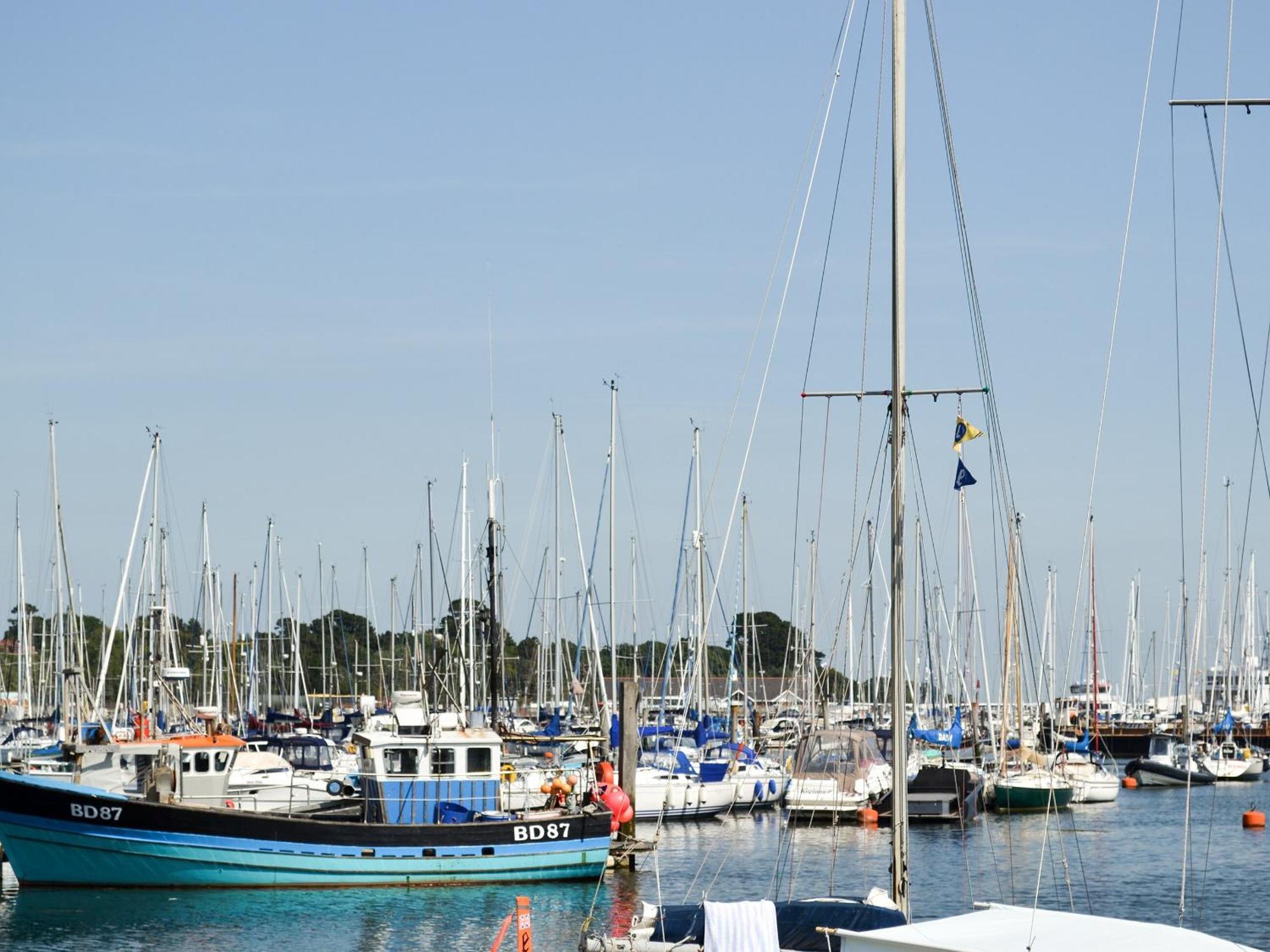Irenic Lodge Netley Marsh Dış mekan fotoğraf